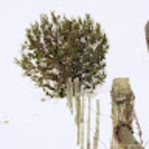 Meet your Posher, Grey